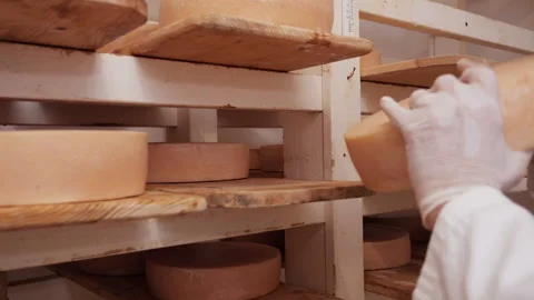 Worker checking maturing cheese wheels - close up Stock Footage 154895569