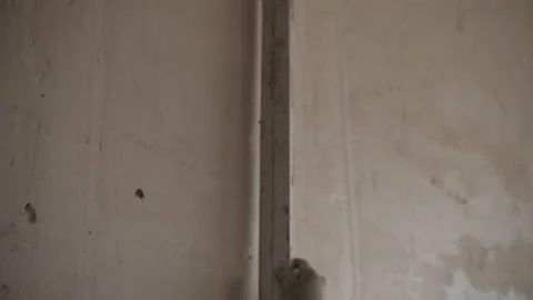 Worker checking plaster level on interior wall Stock Footage 326064478