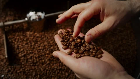 Worker checking quality of roasted coffee beans Stock Footage 273308788
