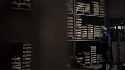 Worker checks items on shelves Stock Footage 146637155