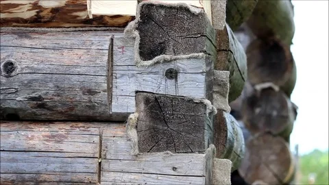 Worker checks the level with a vertical on a wooden log door while building a Stock Footage 77427757