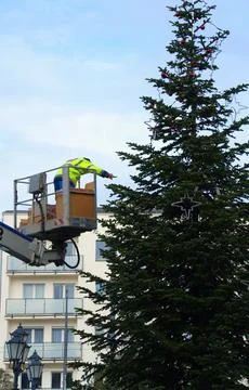 A worker on a cherry picker is decorating a Christmas tree with ornaments i.. Stock Photos