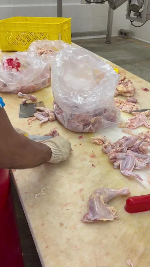 Worker chopping and cutting raw chicken meat on table, vertical shot Stock Footage 345165082