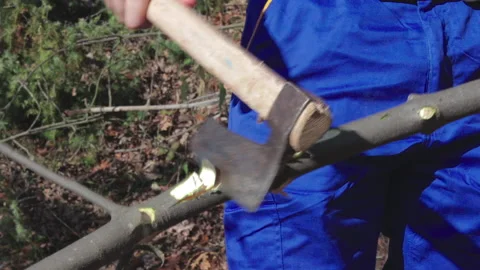 Worker chopping a branch Stock Footage 146919810