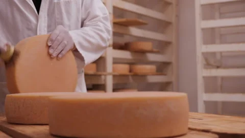 Worker cleaning and brushing the cheese wheels - traditional cheese maturation 스톡 동영상 158312183
