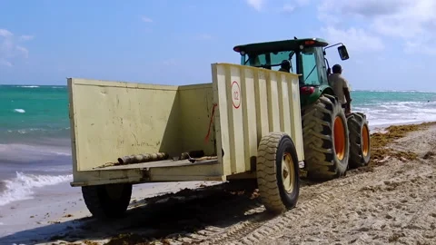 A worker is cleaning beach with tractor at Punta Cana. Video stock 233295929