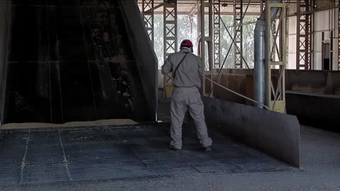 Worker Cleaning Grain Unloading Ramp at Industrial Port Facility in Argentina 4K Stock Footage 320557133