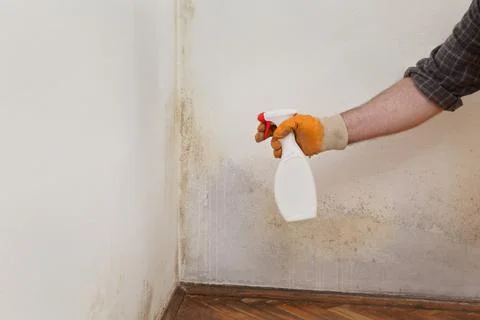 Worker cleaning mold from wall Stock Photos