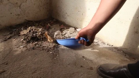 Worker cleaning out the garbage before renovation Stock Footage 75769454