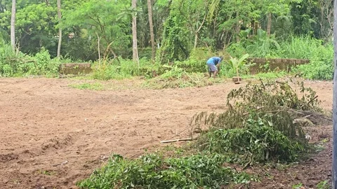 Worker Cleaning plot manually Stock Footage 315568714