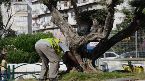 Worker on cleaning up of territory Stock Footage 40297234