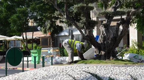 Worker on cleaning up of territory Stock Footage 40297412