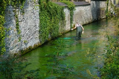 A worker cleans a stream running along a stone wall. The water is green from Stock Photos