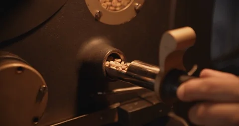 Worker At Coffee Brewery 스톡 동영상 105366741