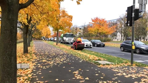 A worker collects fallen leaves from a busy city street lined with colorful Stock Footage 296110945