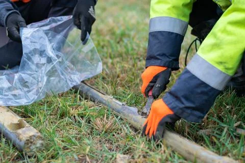 Worker collects soil sample from core drill Foto stock