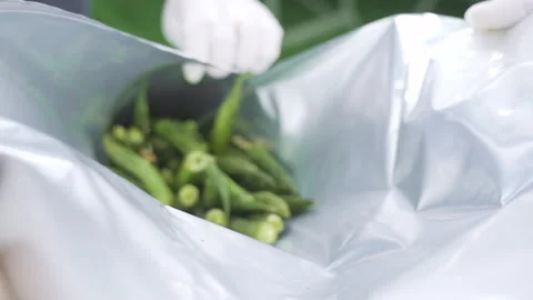 Worker contains Dried Roselle into package Food Industrial 50fps Stock-Footage 248043135