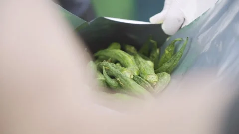 Worker contains Dried Roselle into package Food Industrial Close up 50fps Stock-Footage 248043324