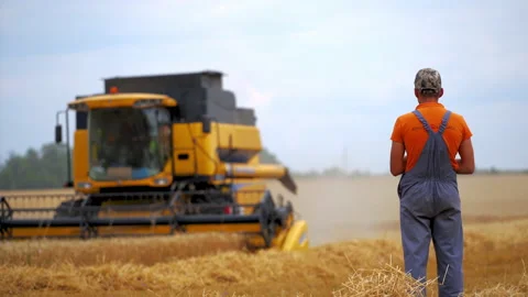 Worker controls the harvesting process. Farmer working in wheat field during Video stock 146264155