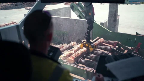 Worker Controls The Robot And The Conveyor Of The Woodworking Plant Stock Footage 142711612