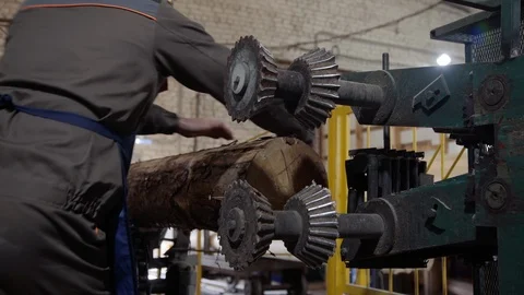 Worker corrects a log on a conveyor belt. Processing of round timber logs for Stock Footage 126510324