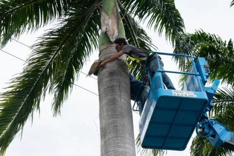 Worker at crane Stock Photos