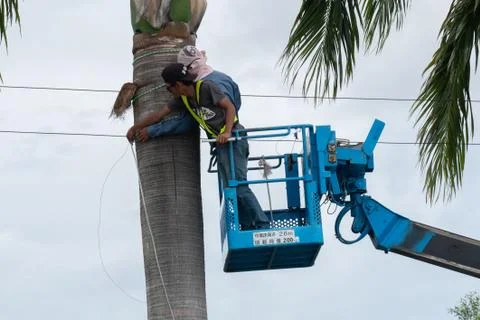 Worker at crane Stock Photos