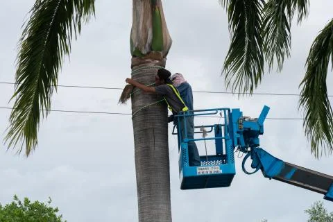 Worker at crane 库存照片