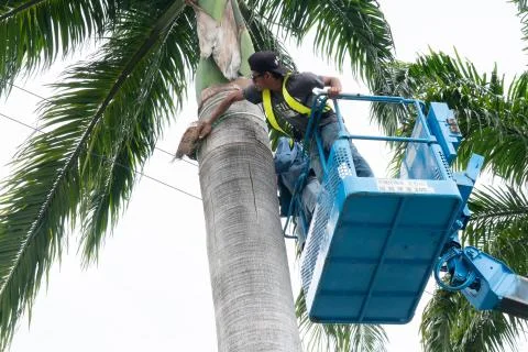 Worker at crane Stock Photos