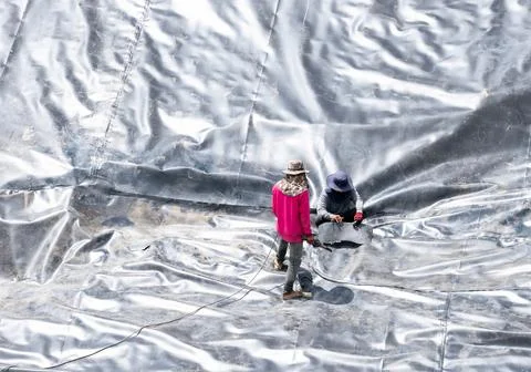 Worker cut and patch canvas on bottom pond. Stock-Fotos