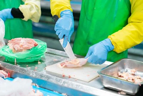 Worker cut up chicken part remove bone out for special product Stock-Fotos