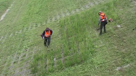 Worker cut grass with lawn mower Stock Footage 40415950