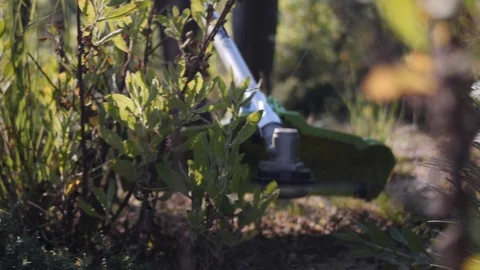 Worker Cut Grass With Lawn Mower. Video stock 93503694