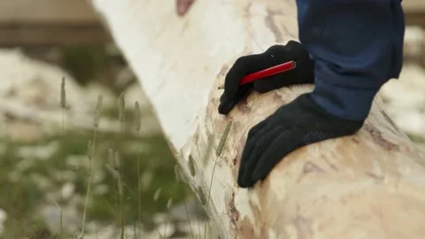 Worker cut logs Stock Footage 149949114