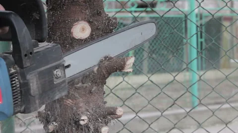 Worker cut a tree branch by chainsaw Stock Footage 63318710