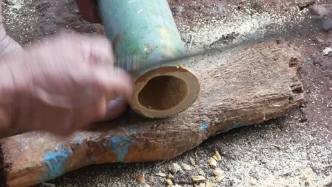 A worker cuts bamboo using a machete Stock Footage 310125935