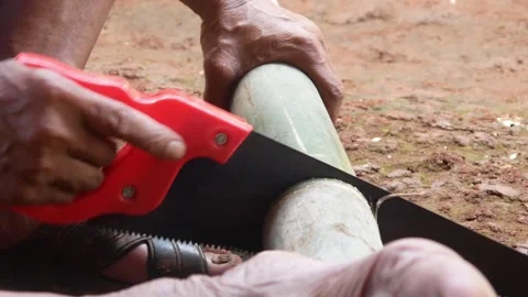 A worker cuts bamboo using a manual saw Stock Footage 310125402