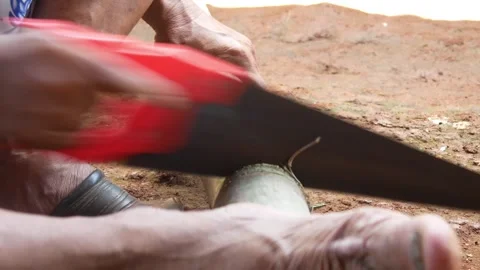 A worker cuts bamboo using a manual saw Stock Footage 310125410
