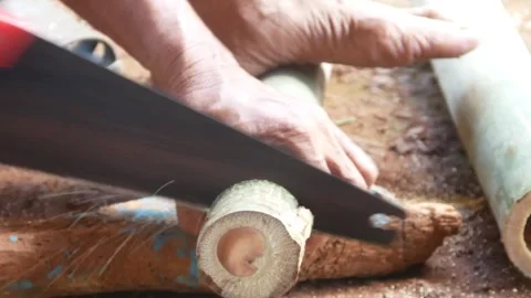 A worker cuts bamboo using a manual saw Stock Footage 310125897