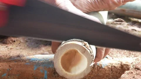 A worker cuts bamboo using a manual saw Stock Footage 310125948