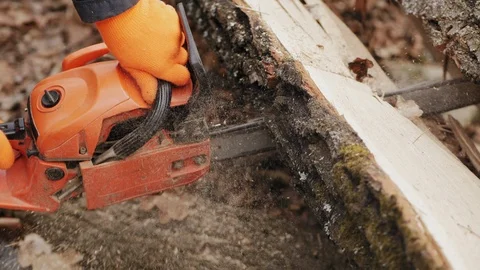 Worker cuts a felled tree trunk with a chainsaw Stock Footage 120476198