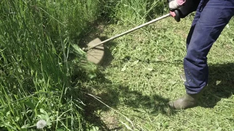Worker cuts the grass with lawn string trimmer Stock Footage 63140562