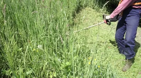 Worker cuts the grass with lawn string trimmer Stock Footage 63140585