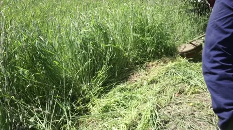 Worker cuts the grass with lawn string trimmer Stock Footage 63140674