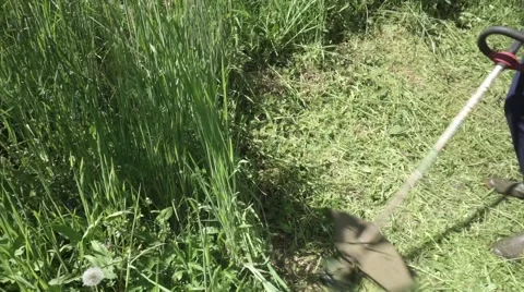 Worker cuts the grass with lawn string trimmer Stock Footage 63140697
