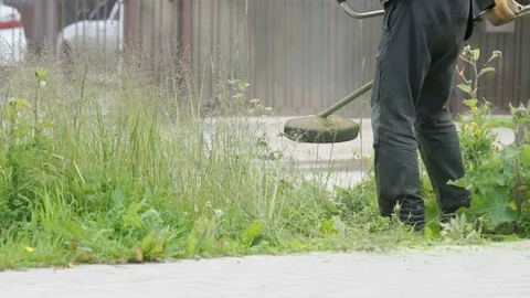 Worker cuts the grass with lawn string trimmer 库存影片 77365609