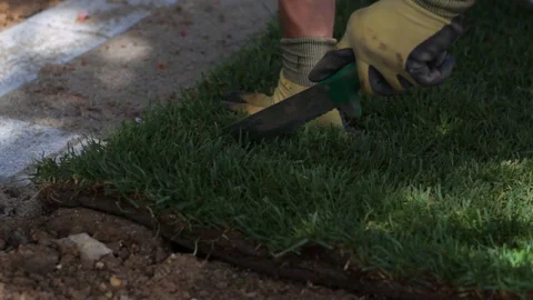 A worker cuts rolled out sod so that it fits within the prepared area. he Stock Footage 110688863