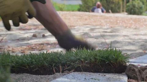 A worker cuts rolled out sod so that it fits within the prepared area. he Stock Footage 110688880