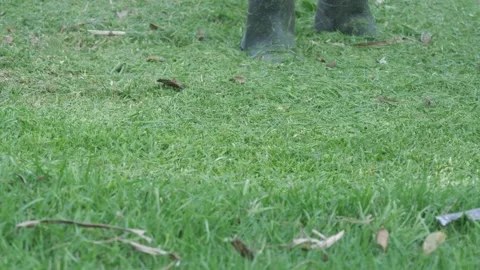 Worker Cutting Grass with a Brush Cutter in a Rural Field Vidéo 342085963