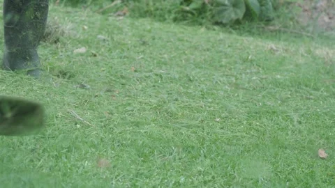 Worker Cutting Grass with a Brush Cutter in a Rural Field Vidéo 342086021